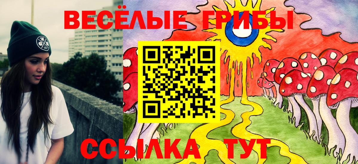 Галлюциногенные грибы Cubensis Родники