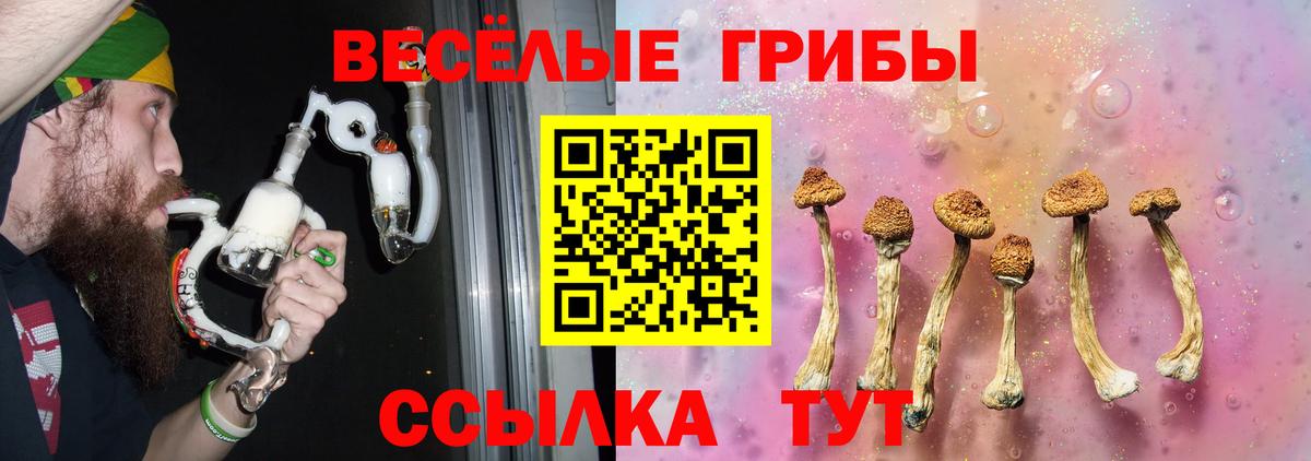 Родники  Галлюциногенные грибы Psilocybine cubensis  Галлюциногенные грибы мицелий  Вход с VPN 